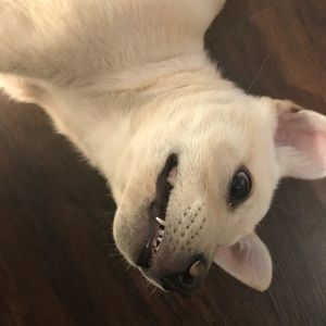 Meet your Posher, Marcus